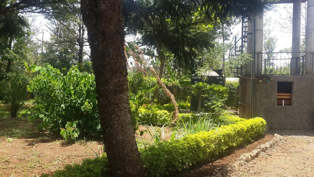 Mama Simba Bed And Breakfast Moshi Exterior foto